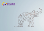 陽(yáng)光普惠